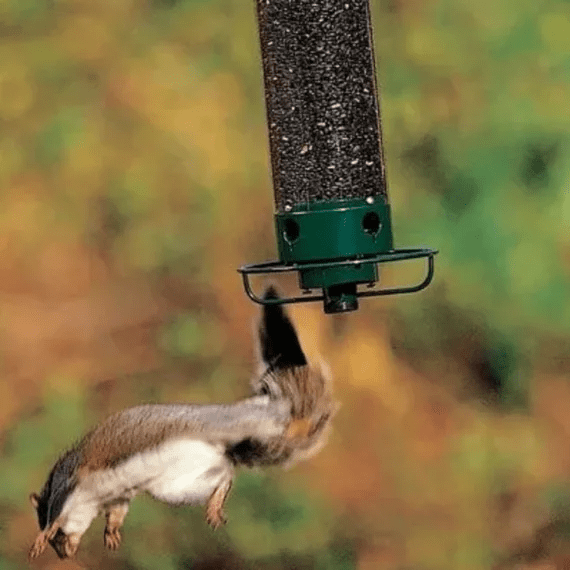 Squirrel-Resistant Hanging Bird Feeder with Metal Cage