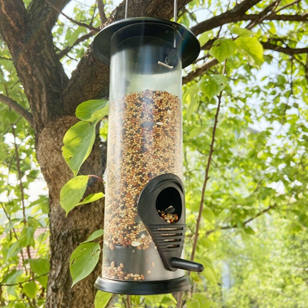 Squirrel-Resistant Hanging Bird Feeder with Metal Cage